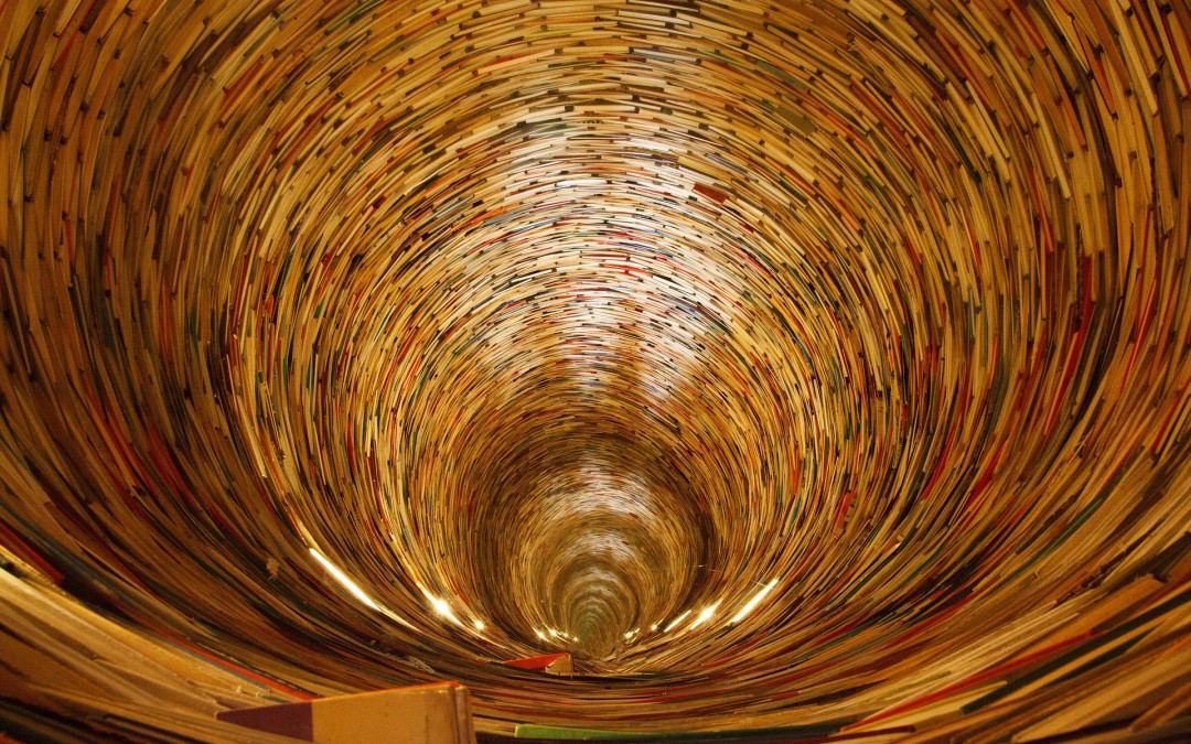 Bücher katalogisieren